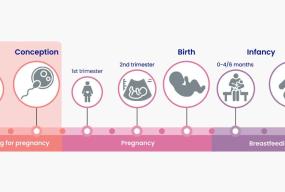 nutritional-guidance-preparing-pregnancy 