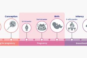 nutrition-healthy-pregnancy